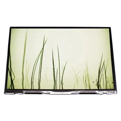 LTD121EXTK 12,1-Zoll-LCD-Display 1280*800 LVDS TFT-LCD-Bildschirm