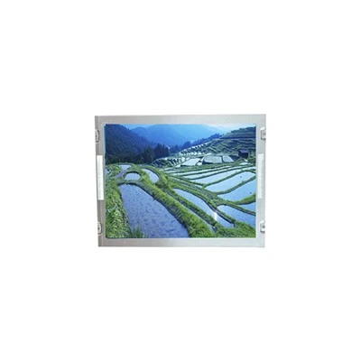 P1210XGF1MB00 12.1 Zoll TFT-LCD-Bildschirm für die Industrie