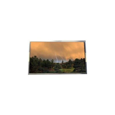 P1560FHF2MA00 15.6 Zoll 1920*1080 TFT-LCD-Bildschirm